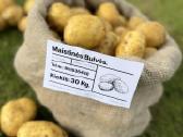 Maistinės bulvės 0,50ct - nuotraukos Nr. 2
