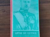 Stasys Raštikis " Kovose dėl Lietuvos ". - nuotraukos Nr. 2