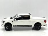 Shelby F-150 - nuotraukos Nr. 2