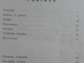 Vilniaus Menas - nuotraukos Nr. 6