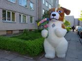Baltos meškos sveikinimas jūsų šventėms - nuotraukos Nr. 7