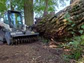 Vikšrinių Minikrautuvų, ekskavatoių Bobcat nuoma - nuotraukos Nr. 25