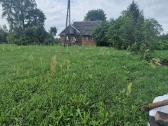 Žolės pjovimas/kelmu nufrezavimas ir kiti darbai - nuotraukos Nr. 29