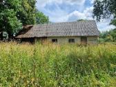 Žolės pjovimas/kelmu nufrezavimas ir kiti darbai - nuotraukos Nr. 35
