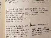 Deutsch vokiečių vad.5kl. - nuotraukos Nr. 5