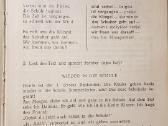 Deutsch vokiečių vad.5kl. - nuotraukos Nr. 6