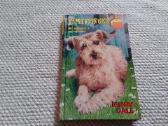 Dale Jenny Pamestinukė 2004 m.