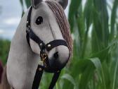 Hobby horse žaisliniai arkliukai - nuotraukos Nr. 2