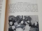 Kauno jezuitu gimnazija - nuotraukos Nr. 4