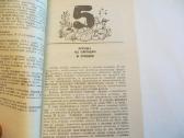 Knyga Kulinarinės paslaptys 1989 - nuotraukos Nr. 12
