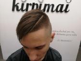 Kirpėja į namus - nuotraukos Nr. 7