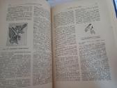 Parduodu knyga.энциклопедия пчеловодства1927 - nuotraukos Nr. 19