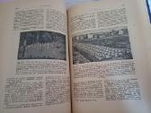 Parduodu knyga.энциклопедия пчеловодства1927 - nuotraukos Nr. 26