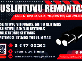 Duslintuvų remontas - universalūs katalizatoriai