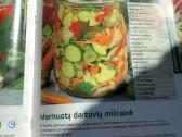Žurnalai Darbštuolė - nuotraukos Nr. 9