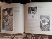 Lietuvos karininko albumas - nuotraukos Nr. 6