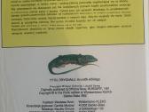 Knyga “ Świat lasu - nuotraukos Nr. 4