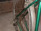 Dviratis Motovelo - nuotraukos Nr. 4