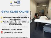 Individualūs korepetitoriai nuotoliu, gyvai Kaune - nuotraukos Nr. 6