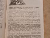 Kulinarinė knyga "Medžiotojo vaišės " - nuotraukos Nr. 3