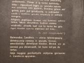 Detektyviniai romanai - nuotraukos Nr. 12