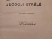 Istoriniai romanai - nuotraukos Nr. 7
