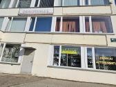 Benzininis lapų pūstuvas / surinktuvas 3in1 - nuotraukos Nr. 19