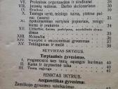 Socialinis kodeksas 1929m - nuotraukos Nr. 3