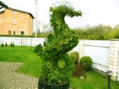 Augalų Skulptūros (Topiary), rėmai - nuotraukos Nr. 15