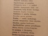Antikvarinė A. Puškino knyga "Eugenijus Onieginas" - nuotraukos Nr. 3