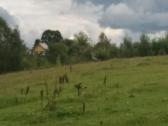 Sklypas Adomaiciu km. - nuotraukos Nr. 4