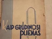 Antikvarinė knyga "Kaip grūdinosi plienas"