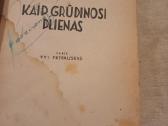Antikvarinė knyga "Kaip grūdinosi plienas" - nuotraukos Nr. 4