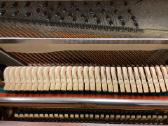 Pianinas August Hoffman mod. 3000 Švedija (Renner) - nuotraukos Nr. 6