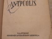 Antikvarinė L. Tolstojus knyga - nuotraukos Nr. 4