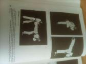 Taekwondo - nuotraukos Nr. 6