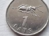 1latas 2003 Skruzdėlė - nuotraukos Nr. 2