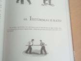 Lietuvių liaudies žaidimai ir pramogos - nuotraukos Nr. 2