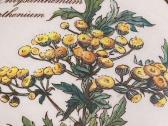 Villeroy & Boch indelis - nuotraukos Nr. 5