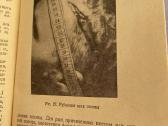 Parduodama knyga Teismo medicina ir Teismo foto - nuotraukos Nr. 4