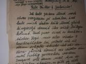 Laiskai is rytu fronto - nuotraukos Nr. 9