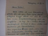 Laiskai is rytu fronto - nuotraukos Nr. 12