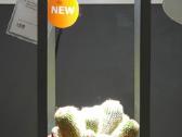 Augalu stovas su sviesa ikea - nuotraukos Nr. 2