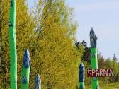 Smidrų (šparagų) daigai – patikrinti, sertifikuoti - nuotraukos Nr. 14