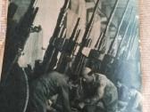 Ww2 naujoji sodyba - nuotraukos Nr. 4