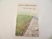 Knyga Silpnųjų jėga Elena Červinskienė 1995
