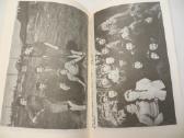 Knyga Ir aš ten buvau R. Preibytė-valiūnienė 1992 - nuotraukos Nr. 11