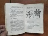 L. Čepienė "Pas motulę augau" 1939 metai - nuotraukos Nr. 7
