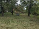 Malkų pjovimas, skaldymas, žolės pjovimas - nuotraukos Nr. 18