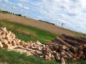 Malkų pjovimas, skaldymas, žolės pjovimas - nuotraukos Nr. 17